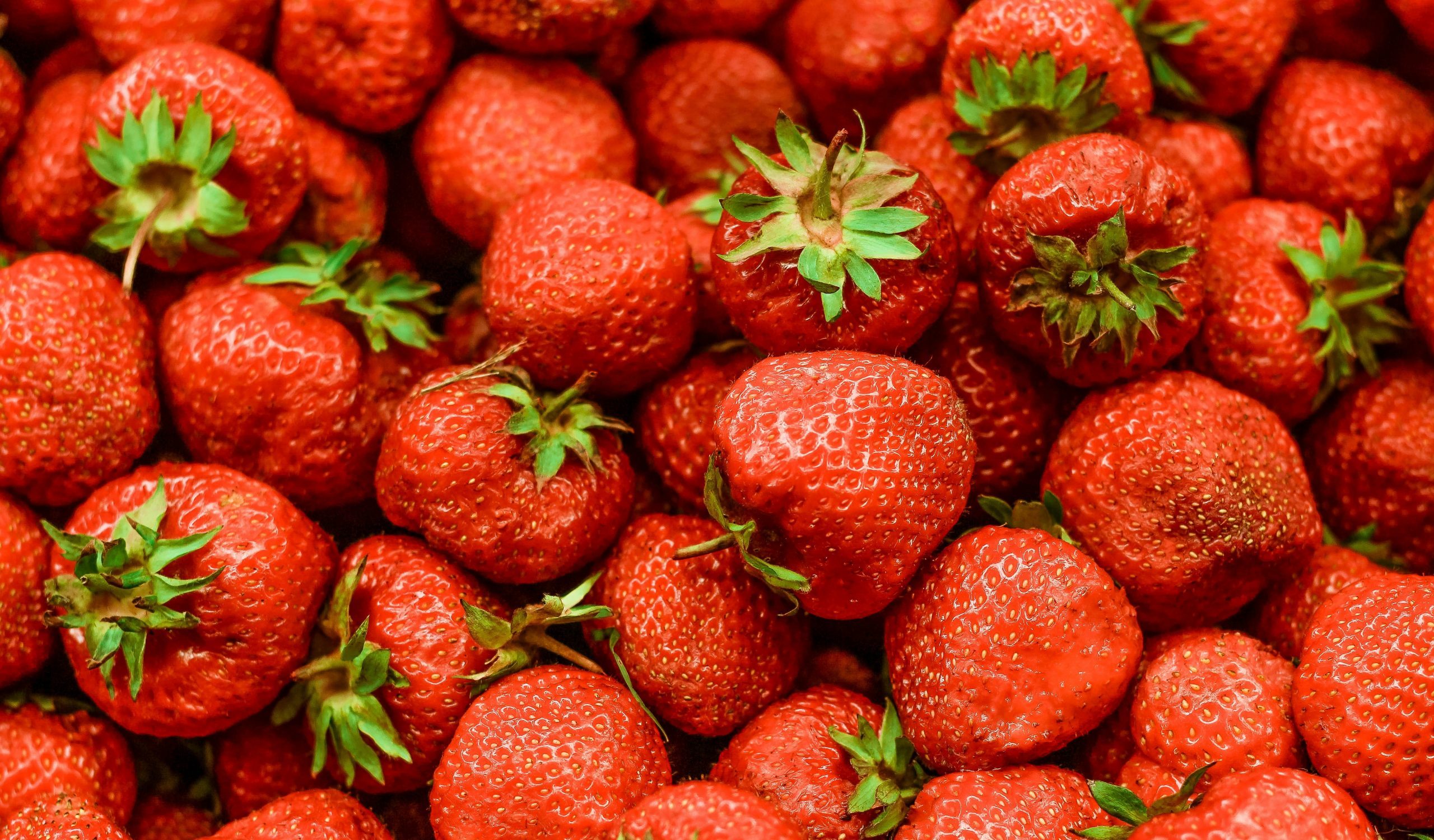 anton-darius-FCrgmqqvl-w-unsplash