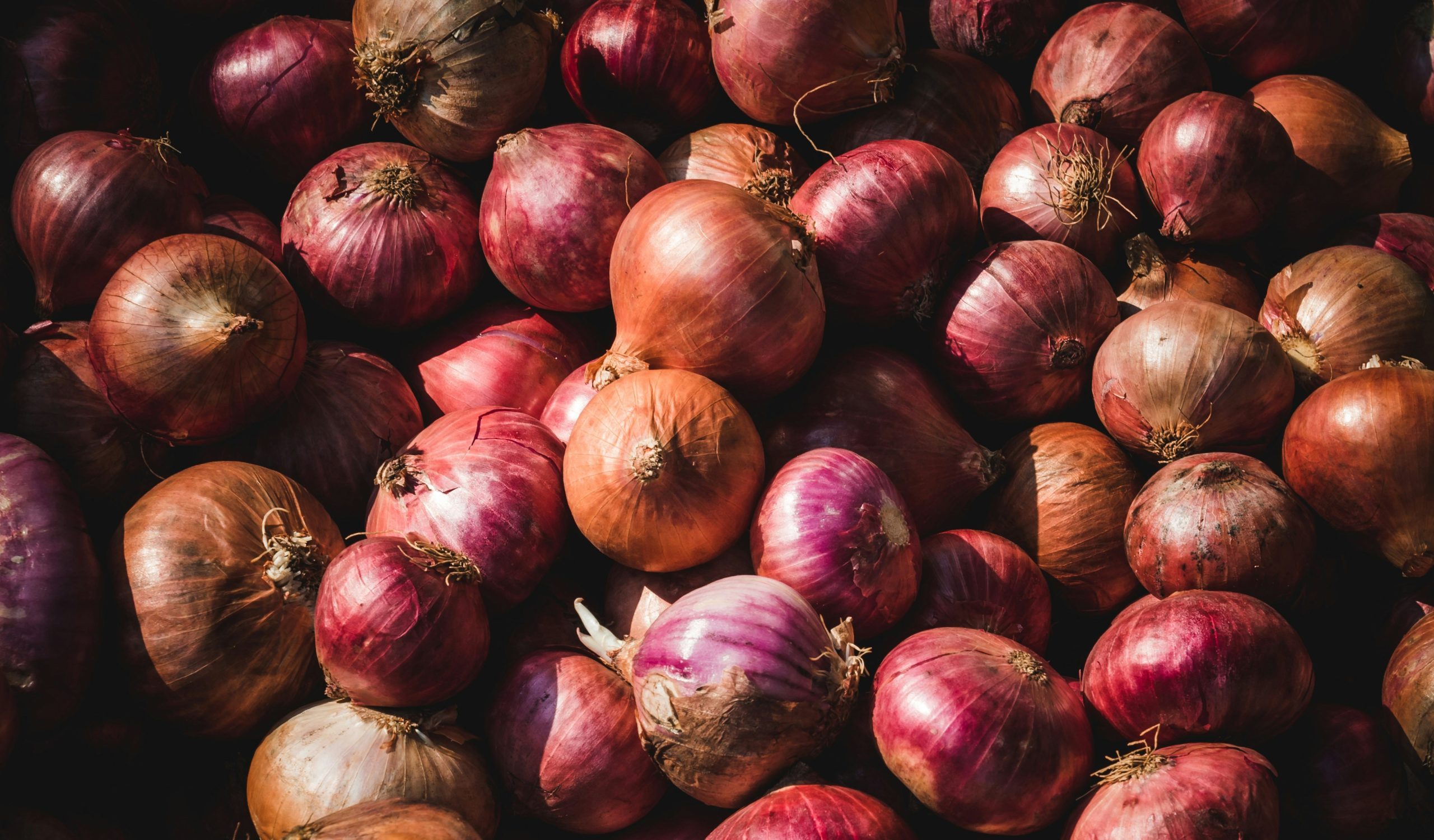 goh-rhy-yan-CCxWLAx0qmk-unsplash